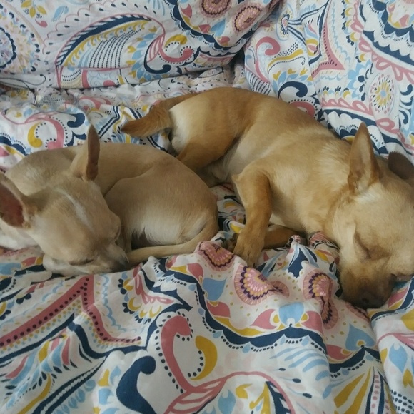 Meet your Posher, Cynthia - Picture 2 of 4